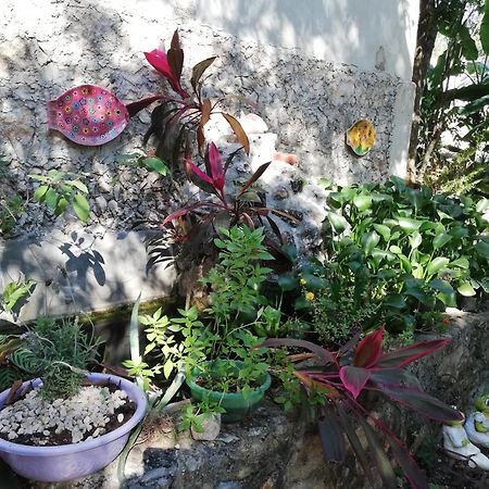 Mayan Bungalow Near Chichen Экстерьер фото