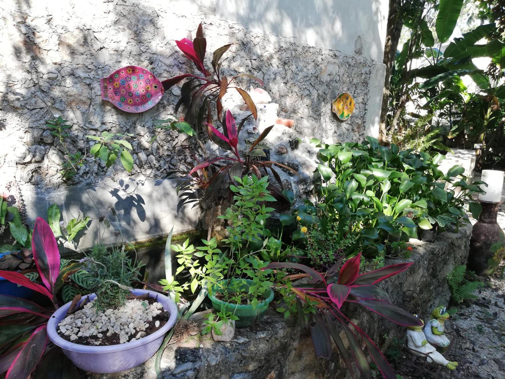 Mayan Bungalow Near Chichen Экстерьер фото
